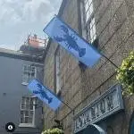 Fowey Aquarium Value Feather Flags